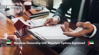 Businessman at a desk discussing UAE ownership structures