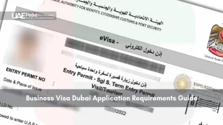 Close-up of a Dubai entry permit document for business or tourism