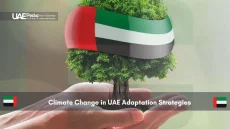 Tree in hands wrapped with UAE flag ribbon
