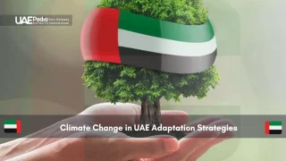 Tree in hands wrapped with UAE flag ribbon