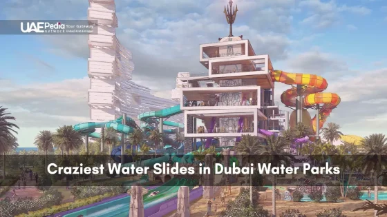 Dubai water park featuring stacked platforms and bright, looping water slides under sky
