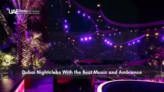 Nightclub interior with vibrant lights and palm trees