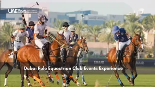 Polo players on horseback in action during a match