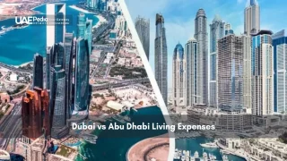 Split view of Dubai and Abu Dhabi skyscrapers from aerial perspective
