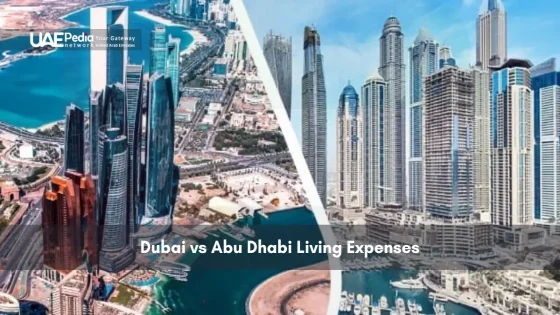 Split view of Dubai and Abu Dhabi skyscrapers from aerial perspective