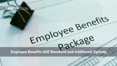 Close-up of employee benefits package form in UAE