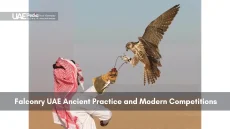 Close-up of UAE eVisa entry permit with official stamps and details