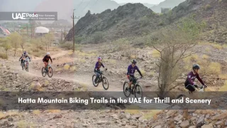 Hatta Mountain Biking Trails in the UAE for Thrill and Scenery