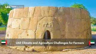 Ancient stone tomb from early tribal settlements in Abu Dhabi