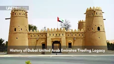 Traditional desert fort with UAE flag and heritage architecture