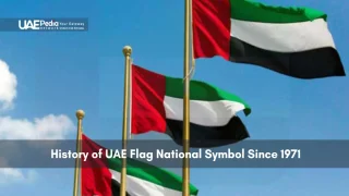 Multiple UAE flags flying on golden flagpoles