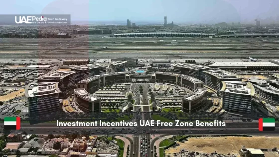 Aerial view of a business district in the UAE free zone