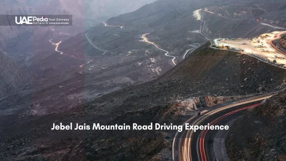 Twisting mountain road lit up at night on Jebel Jais in the UAE