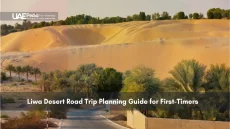 Desert road with palm trees leading into sand dunes