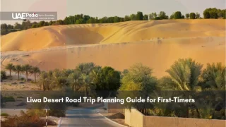 Desert road with palm trees leading into sand dunes