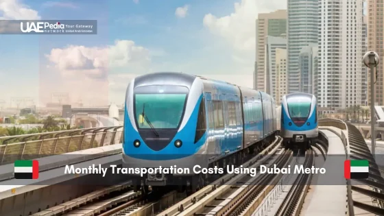 Two blue Dubai Metro trains on elevated tracks