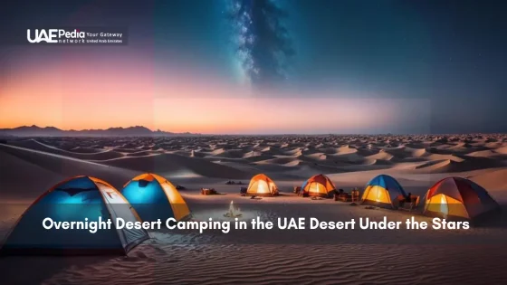 Colorful tents in UAE desert set up for overnight camping under starry sky