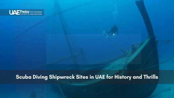Diver exploring a historic shipwreck underwater in UAE