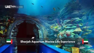 Underwater tunnel at Sharjah Aquarium with coral reefs and fish
