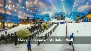 Visitors glide and roll down Ski Dubai’s indoor snow slopes with lifts and winter fun indoor.