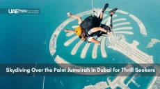 Skydivers above Palm Jumeirah island in Dubai