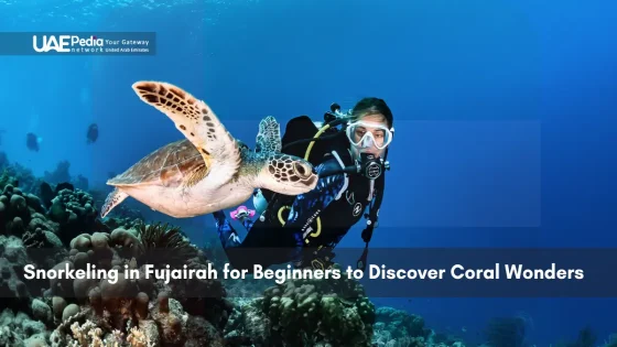 Diver underwater with a turtle in Fujairah coral reef