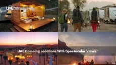 Various camping setups in the UAE, including desert and mountain settings