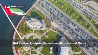 Aerial view of a UAE urban park with national flag and green spaces.