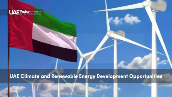 UAE flag with wind turbines representing renewable energy