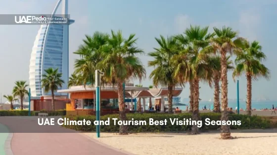 Palm-lined Dubai beach with Burj Al Arab