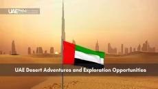 UAE flag flying in the desert with city skyline behind