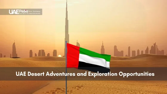 UAE flag flying in the desert with city skyline behind