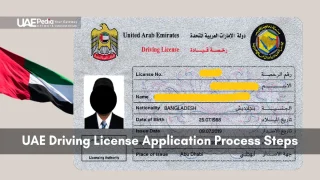 UAE driving license application process showing details and national flag.