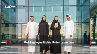 Emirati professionals walking outside a modern glass office building