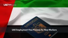 UAE passport on a flag background, with a focus on the employment visa process