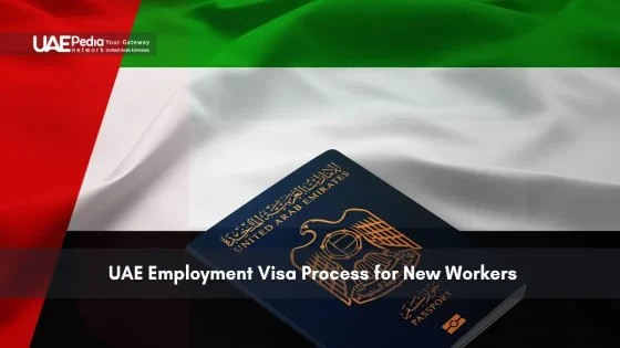 UAE passport on a flag background, with a focus on the employment visa process