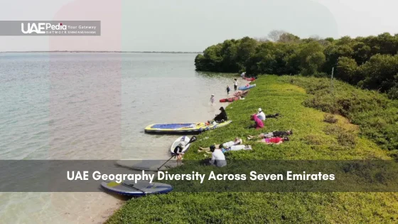 Group resting on a grassy shoreline near water and mangroves in UAE.