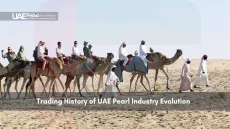 Tourists and guides on camels crossing UAE desert in cultural reenactment