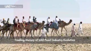 Tourists and guides on camels crossing UAE desert in cultural reenactment