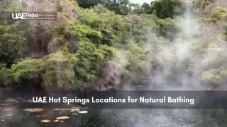 Steamy hot springs surrounded by lush greenery in the UAE