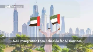 A person holding UAE flags with Dubai’s skyline in the background.
