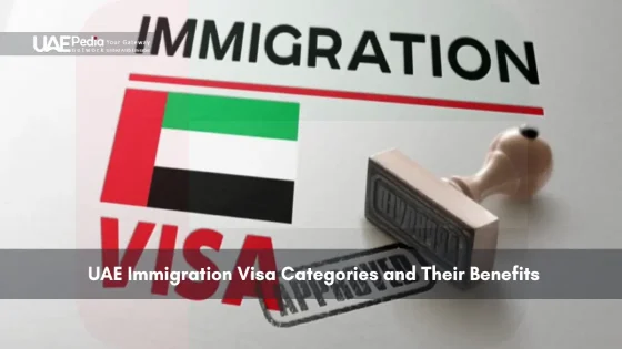 UAE immigration visa stamp with the UAE flag