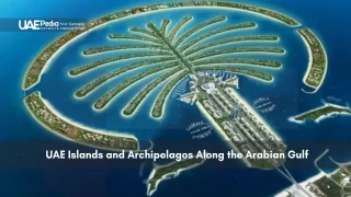 Aerial view of Dubai’s Palm Jumeirah artificial island