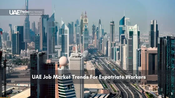 Skyline of Dubai, showcasing its modern business and job market environment