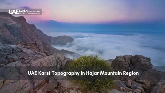 Rocky terrain of the Hajar Mountains in the UAE