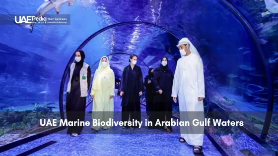 Industrial workers in UAE factory showcasing mineral resource sector.