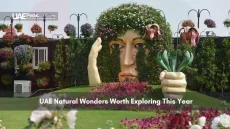 Floral sculpture of a face and hand in Dubai Miracle Garden