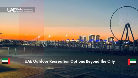 Sunset at a Beach Resort in UAE