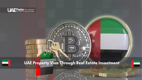 Coins and digital tokens with UAE flag and key showing investment concept