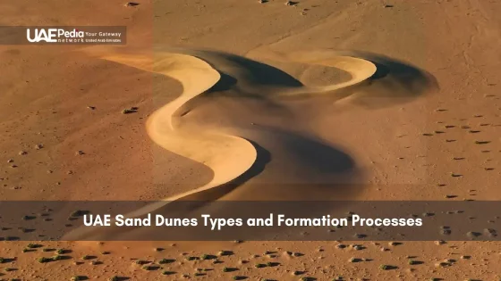 A view of desert sand dunes in the UAE.